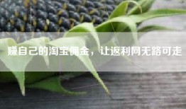 赚自己的淘宝佣金，让返利网无路可走