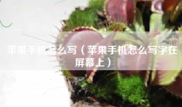 苹果手机怎么写（苹果手机怎么写字在屏幕上）
