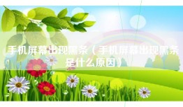 手机屏幕出现黑条（手机屏幕出现黑条是什么原因）