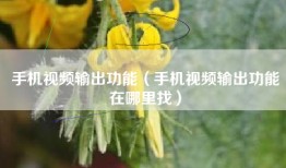 手机视频输出功能（手机视频输出功能在哪里找）