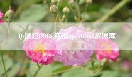 Qt通过ODBC连接openGauss数据库