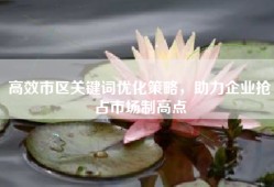 高效市区关键词优化策略，助力企业抢占市场制高点