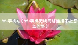 米4手机4g（米4手机无线网络连接不上怎么回事）