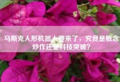 马斯克人形机器人要来了，究竟是概念炒作还是科技突破？