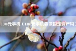 1300元手机（1300元手机要做固定资产吗）