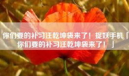 你们要的补习汪乾坤袋来了！捉妖手机「你们要的补习汪乾坤袋来了！」