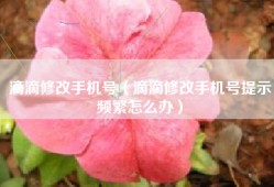 滴滴修改手机号（滴滴修改手机号提示频繁怎么办）