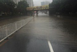 武汉城区暴雨公交车内被淹