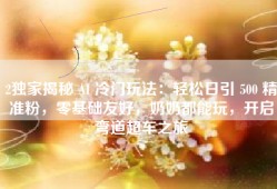 2独家揭秘 AI 冷门玩法：轻松日引 500 精准粉，零基础友好，奶奶都能玩，开启弯道超车之旅