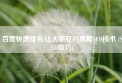 百度快速排名,让人疯狂的黑帽SEO技术 (SEO技巧)