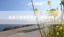 丝芙兰新零售模式（系统平台）