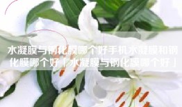 水凝膜与钢化膜哪个好手机水凝膜和钢化膜哪个好「水凝膜与钢化膜哪个好」