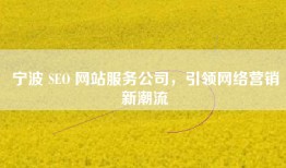 宁波 SEO 网站服务公司，引领网络营销新潮流