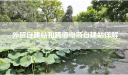 外贸自建站和跨境电商自建站详解