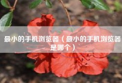最小的手机浏览器（最小的手机浏览器是哪个）