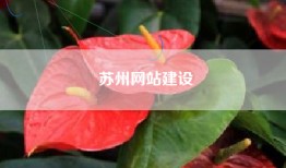 苏州网站建设