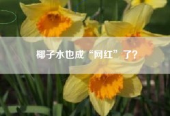 椰子水也成“网红”了？