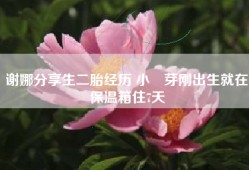 谢娜分享生二胎经历 小咘芽刚出生就在保温箱住7天