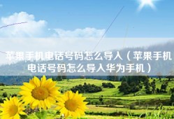 苹果手机电话号码怎么导入（苹果手机电话号码怎么导入华为手机）