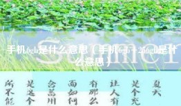 手机6gb是什么意思（手机6gb+256gb是什么意思）