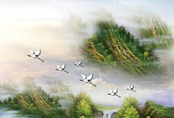 房地产免责声明