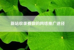 新站收录要做的网络推广途径