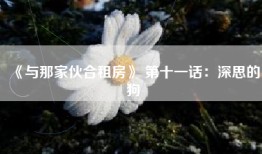 《与那家伙合租房》 第十一话：深思的狗