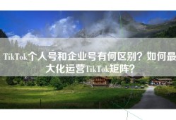 TikTok个人号和企业号有何区别？如何最大化运营TikTok矩阵？