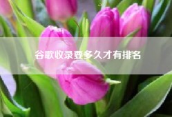 谷歌收录要多久才有排名
