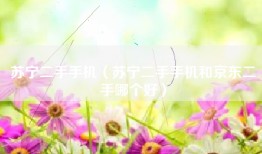 苏宁二手手机（苏宁二手手机和京东二手哪个好）
