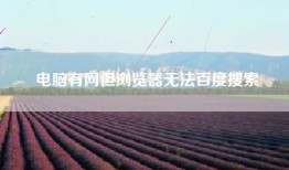 电脑有网但浏览器无法百度搜索