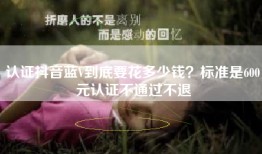 认证抖音蓝V到底要花多少钱？标准是600元认证不通过不退