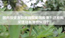 国内投资者如何购买美国股票？这些购买途径有哪些风险？