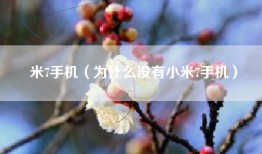 米7手机（为什么没有小米7手机）