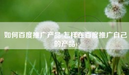 如何百度推广产品(怎样在百度推广自己的产品)