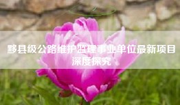 黟县级公路维护监理事业单位最新项目深度探究