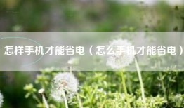怎样手机才能省电（怎么手机才能省电）