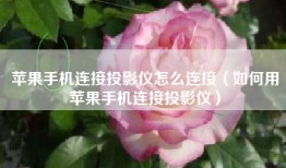 苹果手机连接投影仪怎么连接（如何用苹果手机连接投影仪）