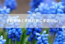 手机股价（手机估价二手估价app）