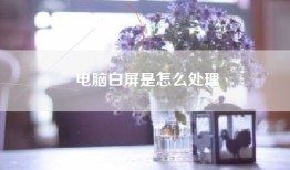 电脑白屏是怎么处理