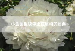 小金属板块中正在启动的股票