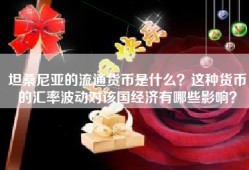 坦桑尼亚的流通货币是什么？这种货币的汇率波动对该国经济有哪些影响？