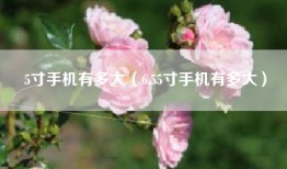 5寸手机有多大（6.55寸手机有多大）