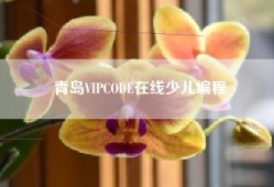 青岛VIPCODE在线少儿编程