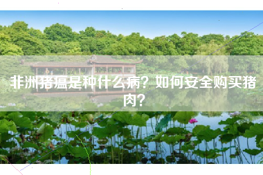 非洲猪瘟是种什么病？如何安全购买猪肉？