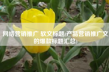 网络营销推广 软文标题(产品营销推广文的爆款标题汇总)