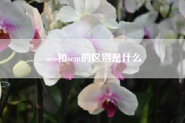 seo和sem的区别是什么
