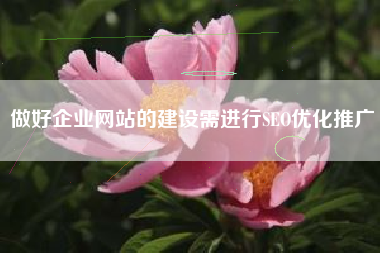 做好企业网站的建设需进行SEO优化推广