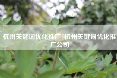 杭州关键词优化推广_杭州关键词优化推广公司