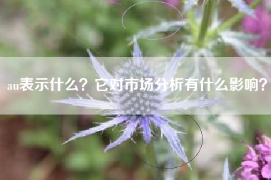 au表示什么？它对市场分析有什么影响？